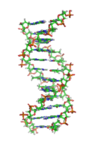 DNA_orbit_animated_small