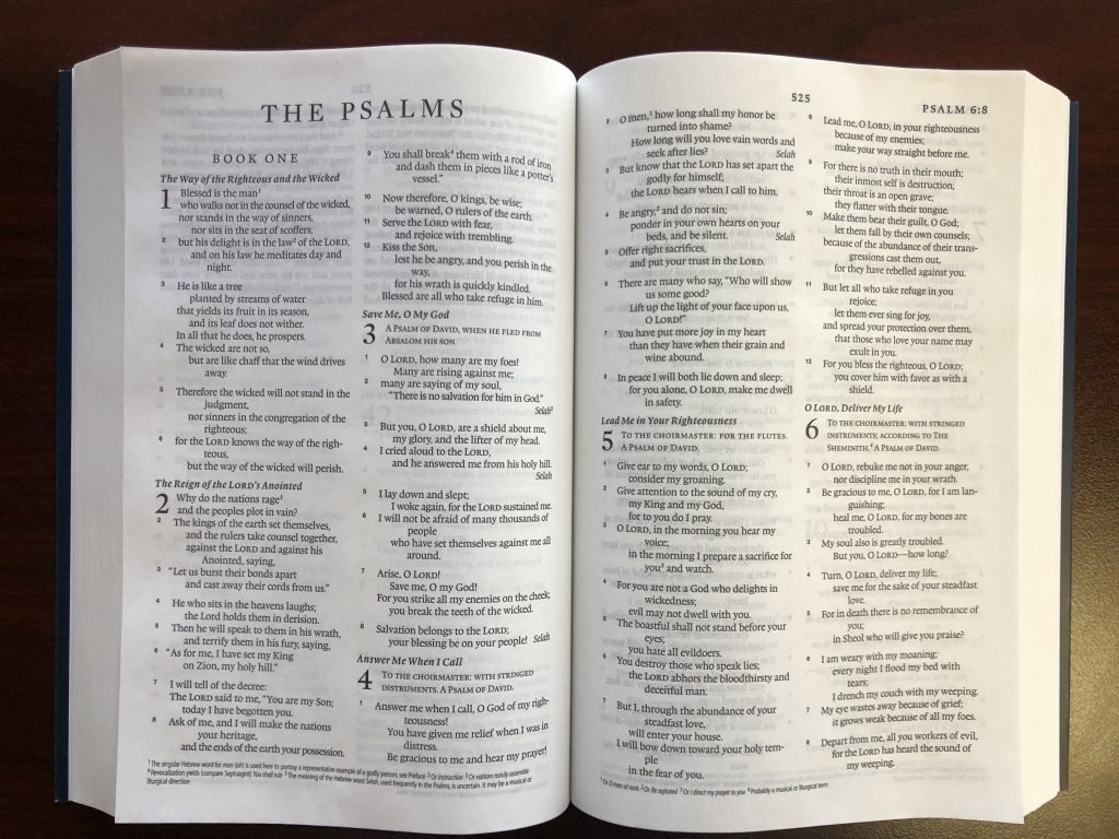 Inside the ESV-Catholic Edition Bible 1
